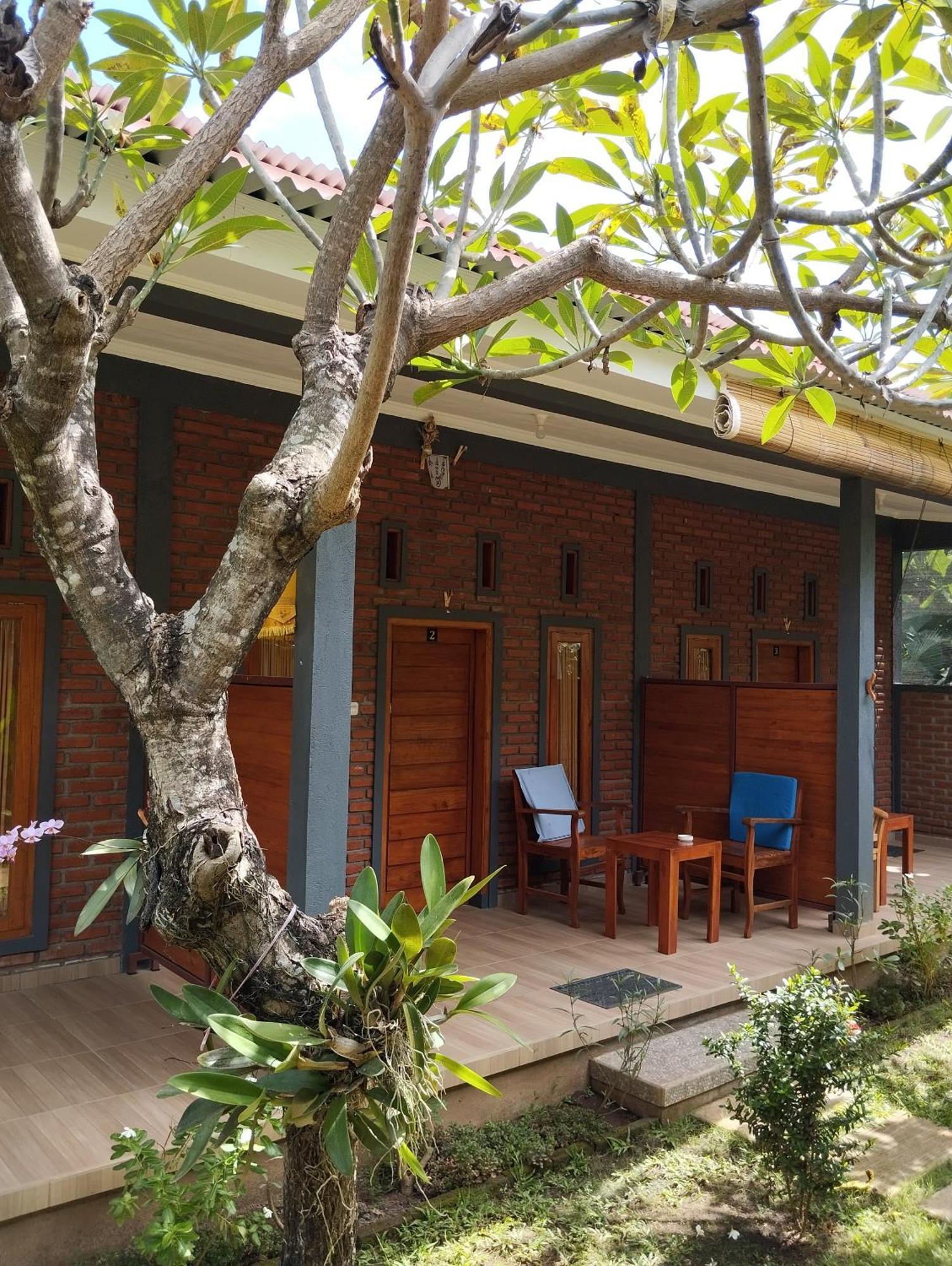 Tunjung Guest House Lovina Beach Buleleng  Exterior photo